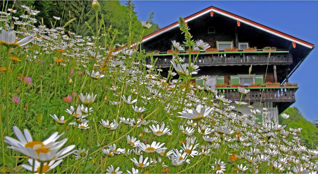 Gaestehaus Bergwald Berchtesgaden Exterior foto